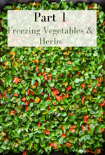 Load image into Gallery viewer, DIGITAL Freezing Produce the Easy Way: Quick Food Preservation for Busy People
