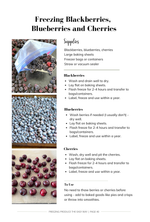 Load image into Gallery viewer, DIGITAL Freezing Produce the Easy Way: Quick Food Preservation for Busy People
